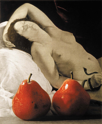 Two Pears After Artemisia